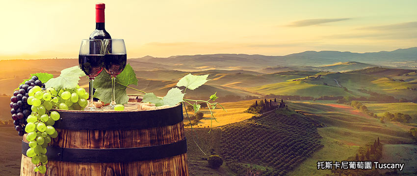 義大利-義大利-托斯卡尼-葡萄酒園